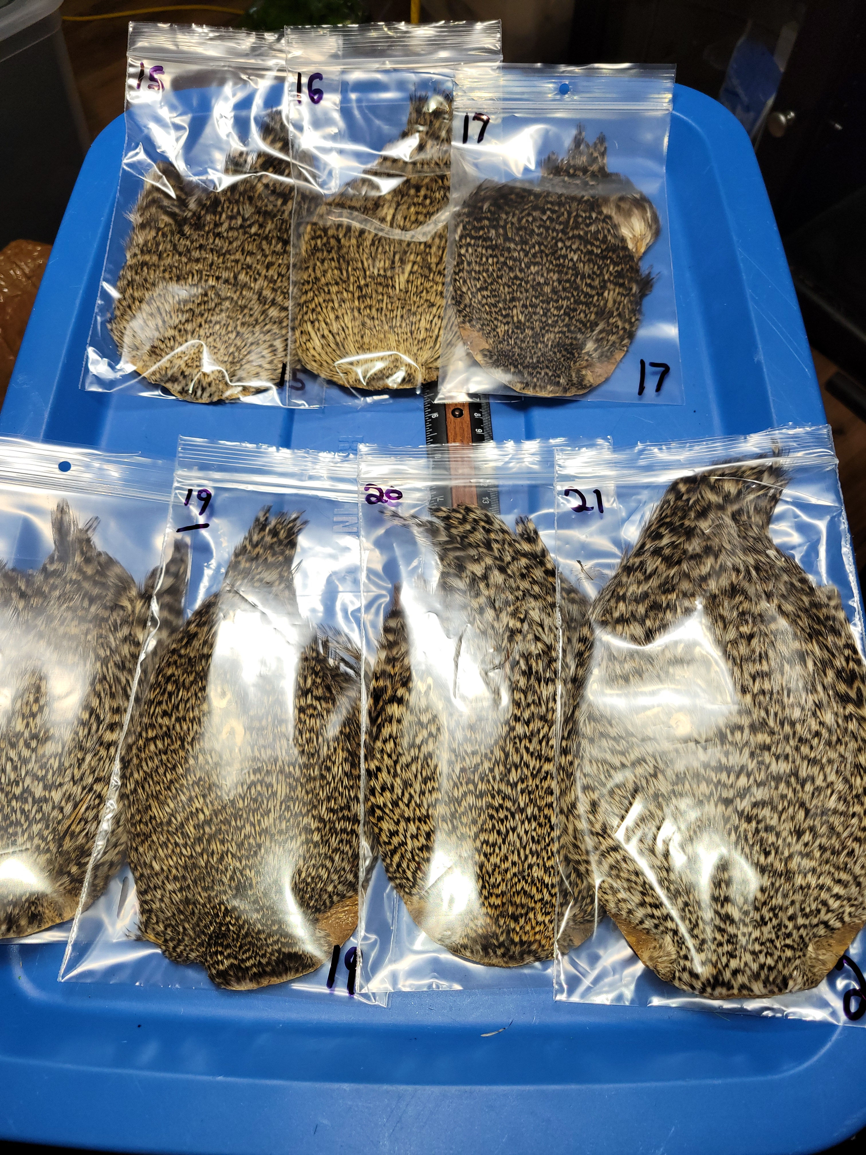 Cou - Cape de Coq Super Select AAA Grizzly Naturel 15-21