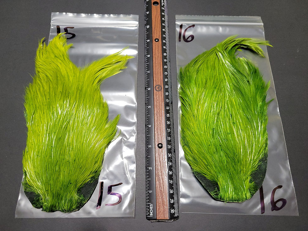 Miniature : Cape - Cou de Coq Super Select AAA Bright Olive