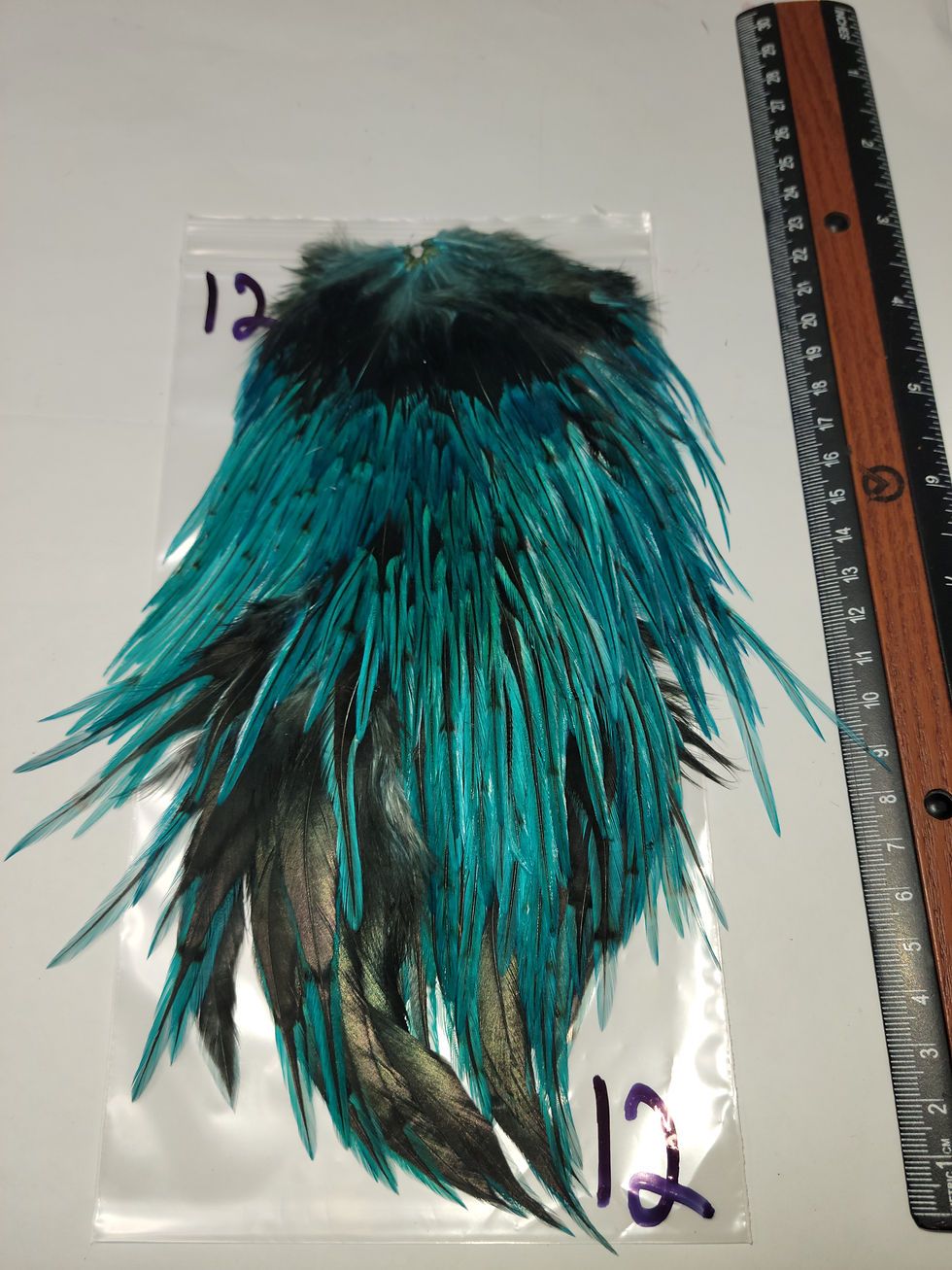 Miniature : Nos Selles de Coq Badger Super Select AAA Teint Blue Chill