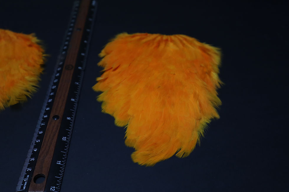 Thumbnail: Our Orange Hen Saddles