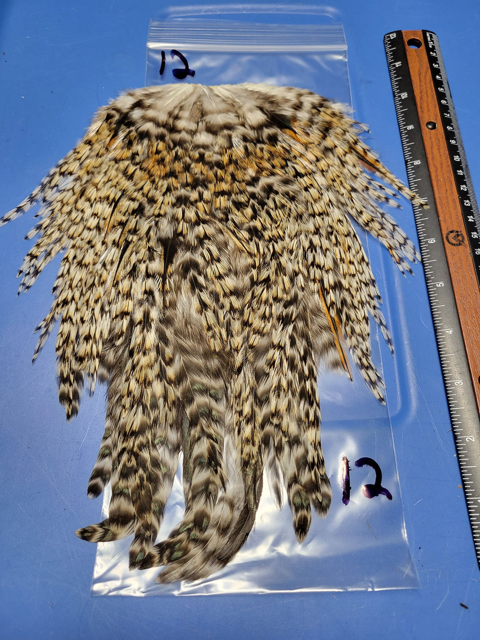 Thumbnail: Our Large Rooster Saddles Super Select AAA Grizzly 8-14