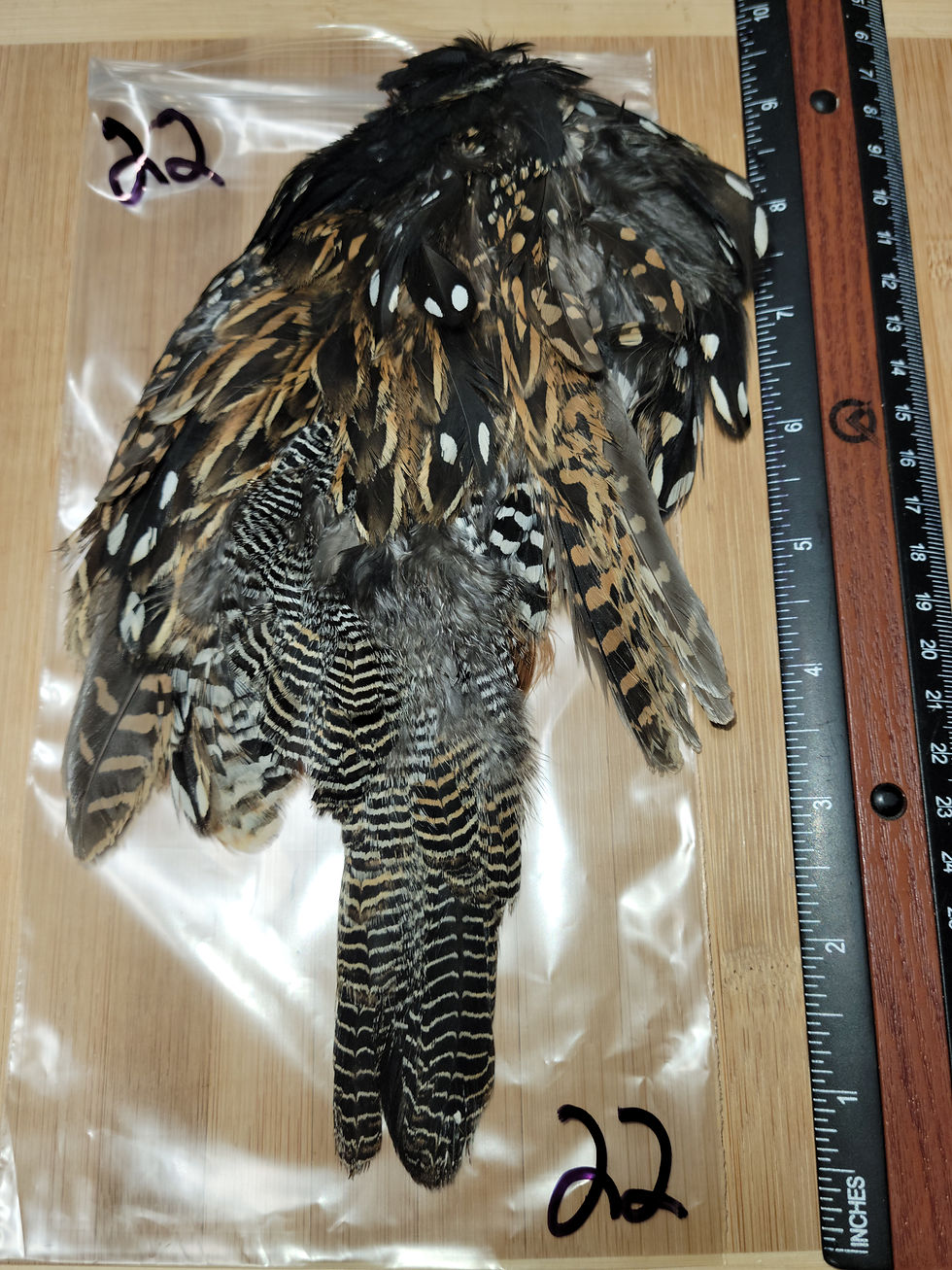 Thumbnail: Francolin Black 16-32