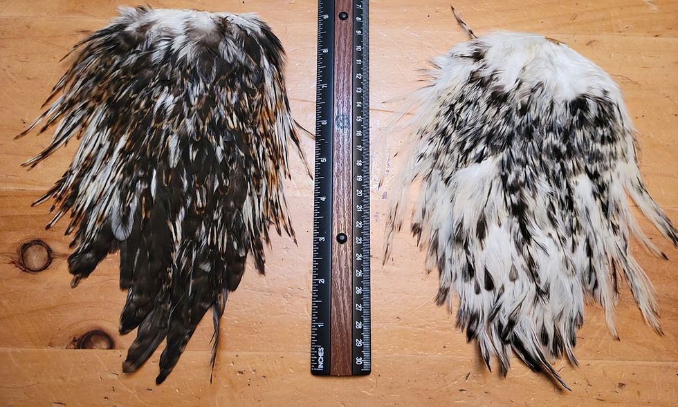 Rooster Saddles Variant