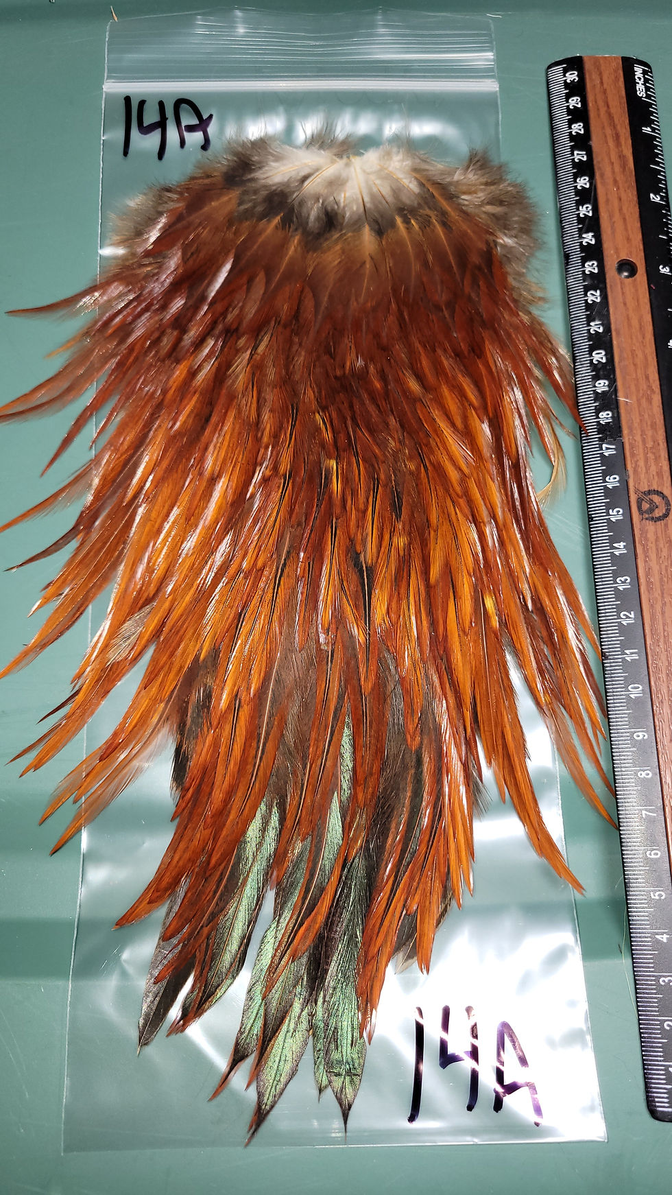 Miniature : Nos Grande Selles de Coq Super Select AAA Brun Furnace