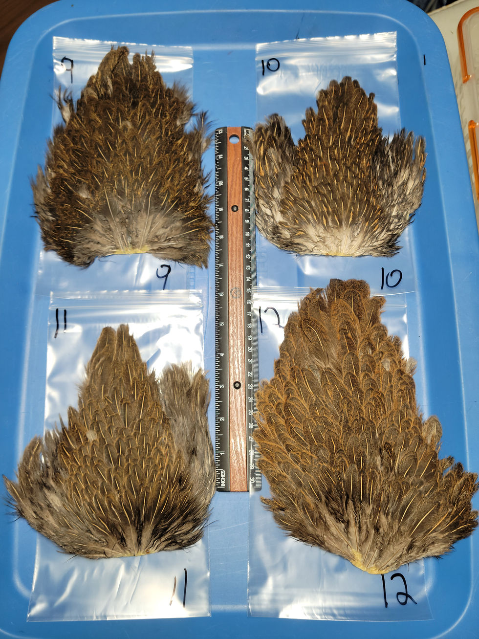 Thumbnail: Our Natural hen Saddles (Soft Hackle) Gray Brown to Charcoal Brown