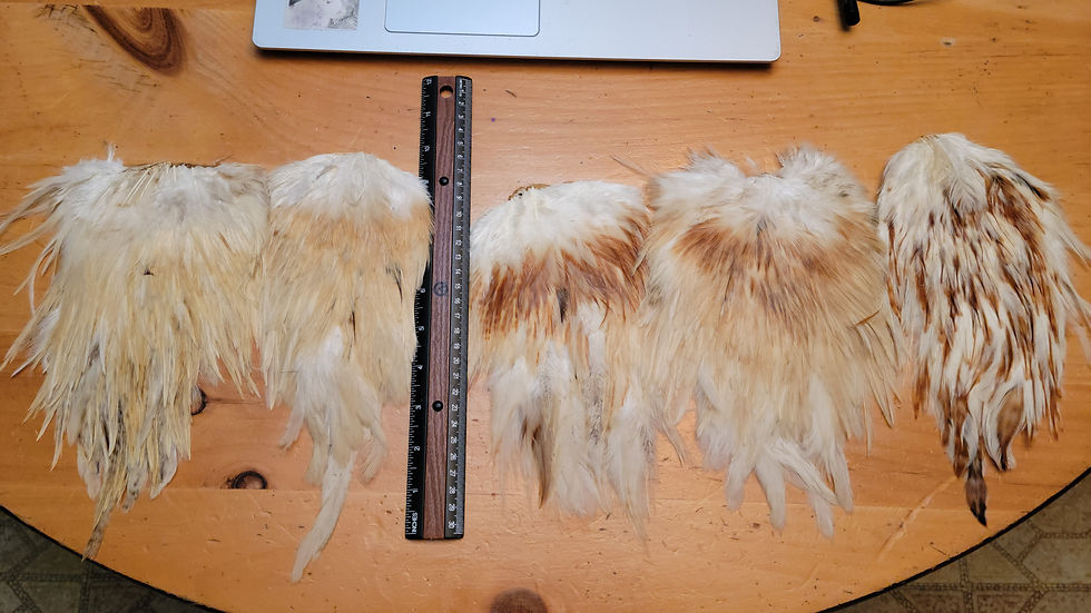 Rooster Saddles Variant