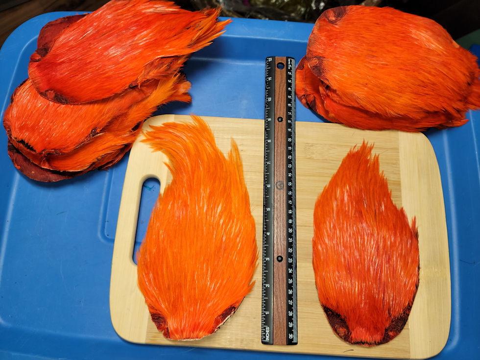 Thumbnail: Orange Dyed Rooster Cape Neck