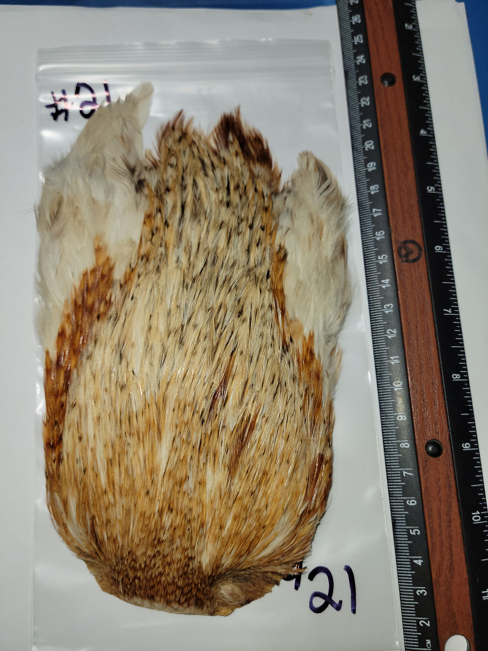 Thumbnail: Super Select AAA Natural Rooster Neck Variant 16-27