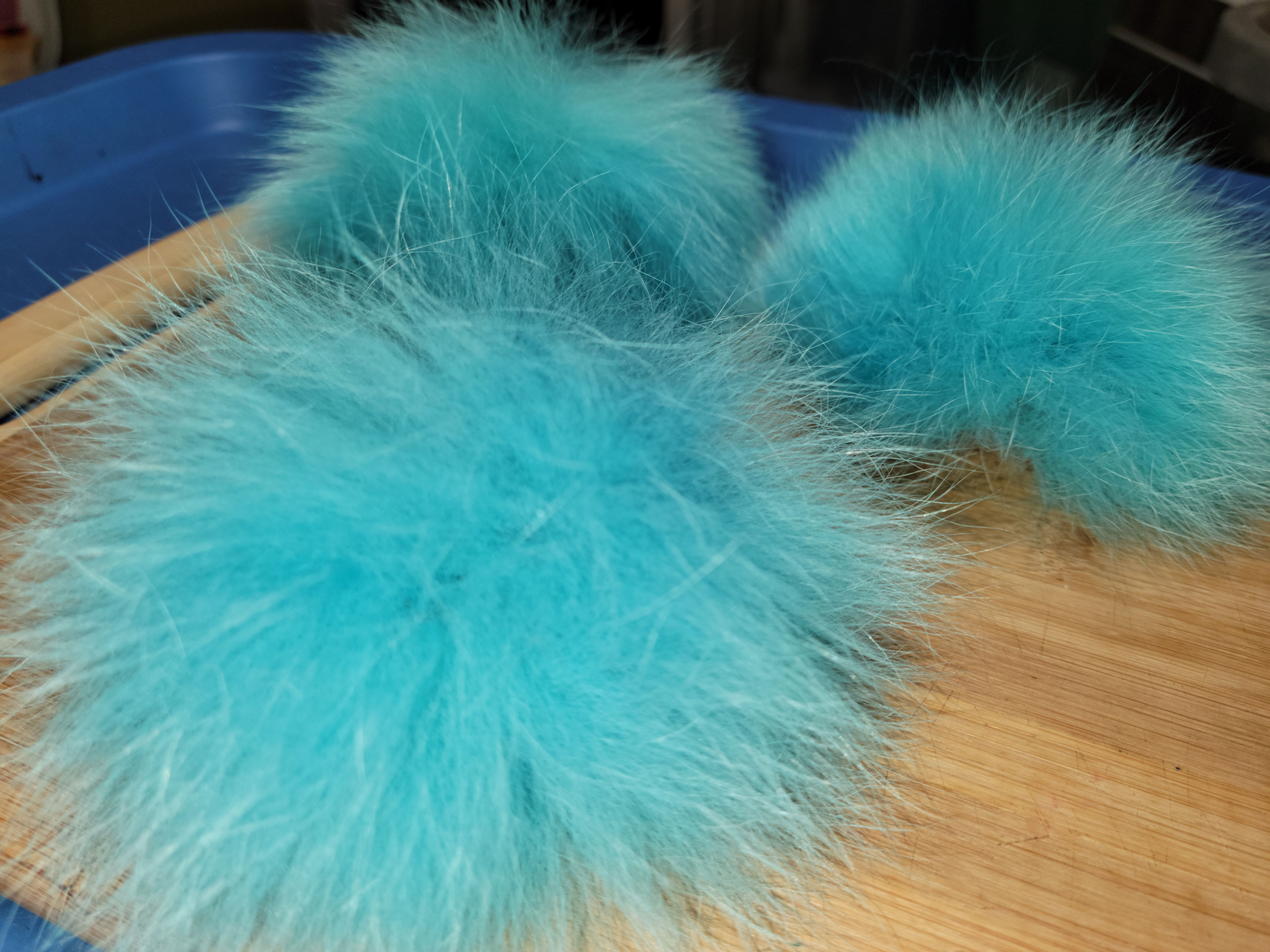 Renard Polar Beige  Fox  AAA Teint Bleu Chill