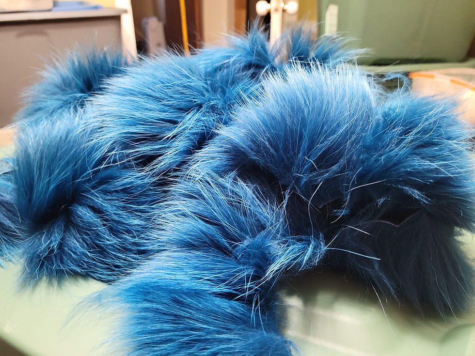 Thumbnail: Tanuki - Finn Racoon Regal Blue - Regal Blue