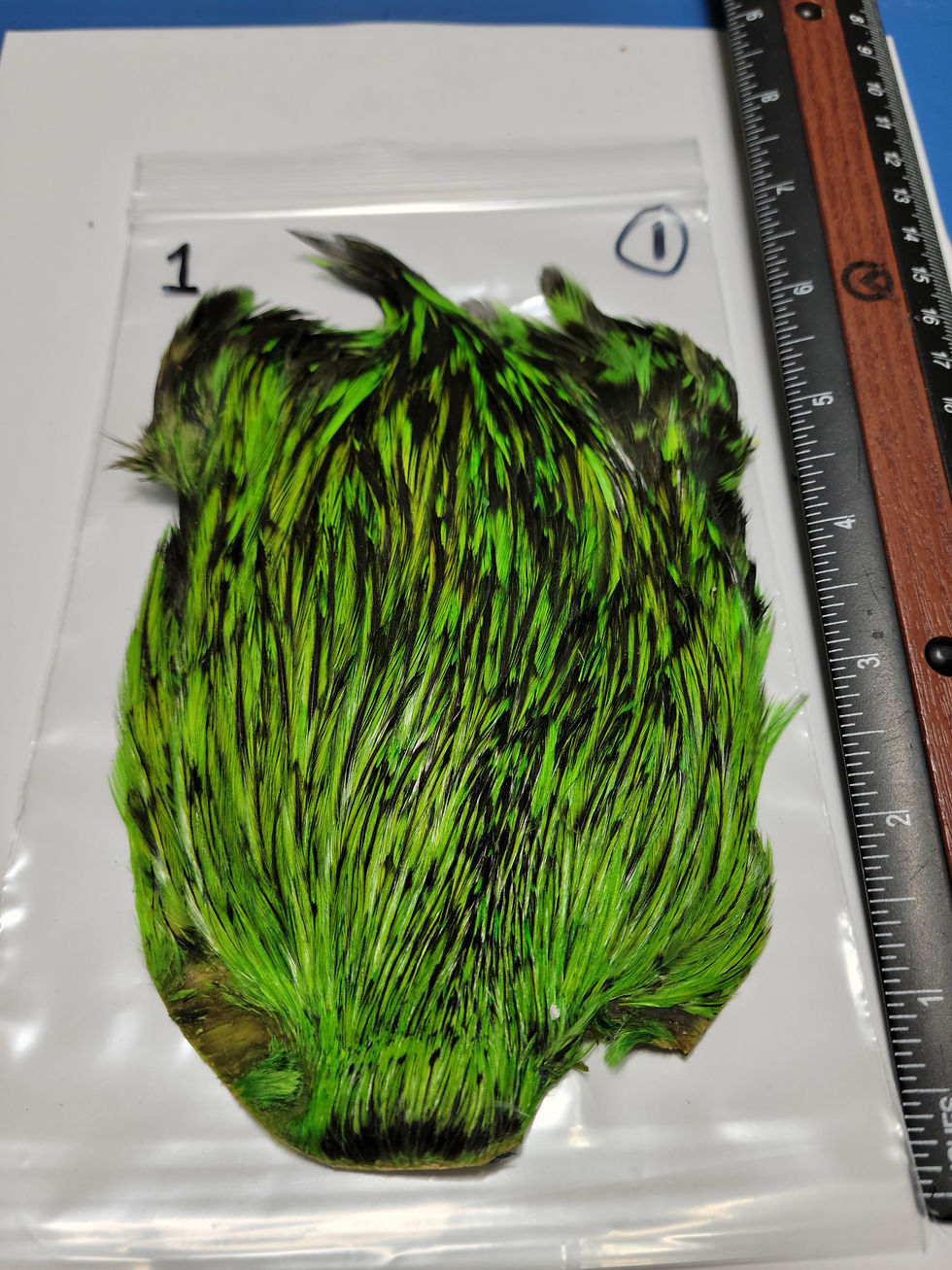 Miniature : Cou de Coq Super Select AAA Badger Foncé Teint Vert Chartreuse