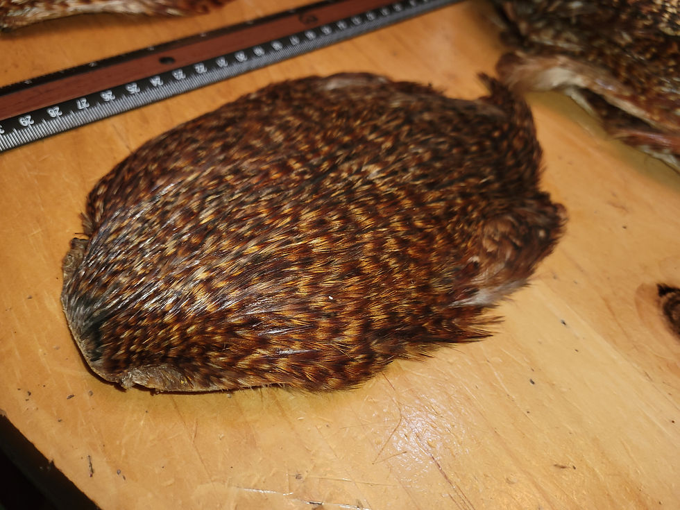 Miniature : Cou de Coq Red Grizzly Naturel Foncé