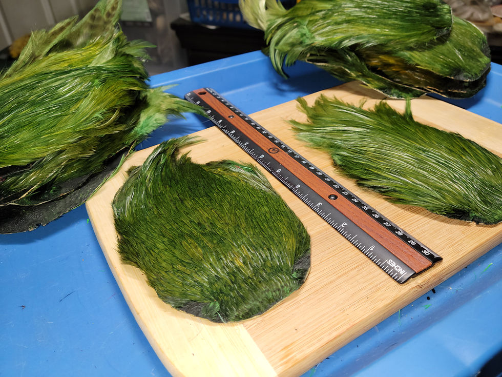 Cou - Cape de Coq Teint Olive Foncé