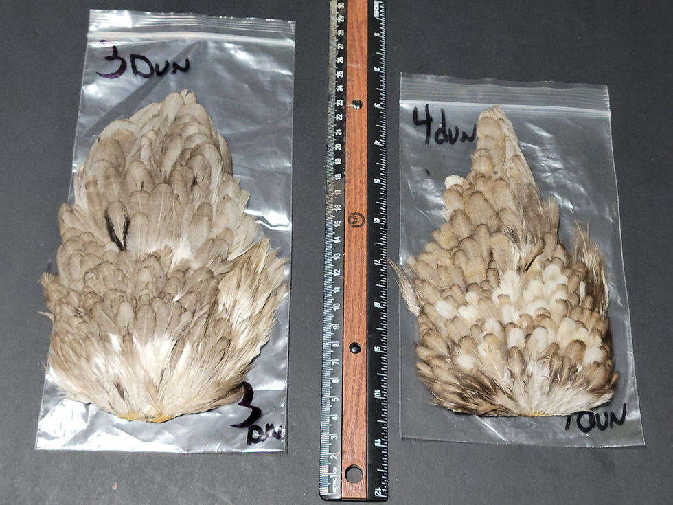 Miniature : Nos Selles de Poule Naturel (Soft Hackle) DUN