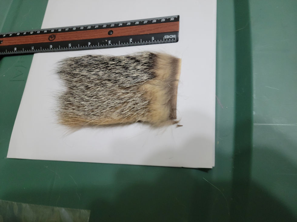 Thumbnail: Gray Fox Pieces of 3''x 4'' or 8 cm x 10 cm