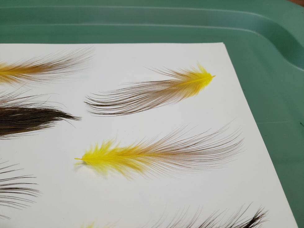 Thumbnail: AAA Natural Brown Heron Feathers Dyed Yellow