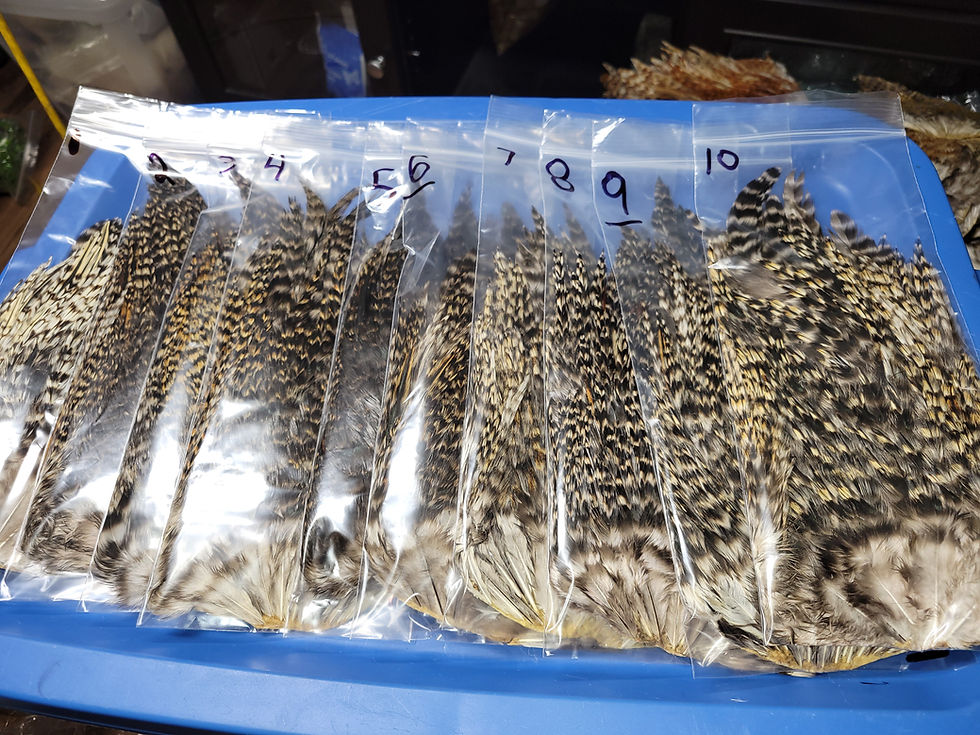 Our Large Rooster Saddles Super Select AAA LIGHT CREE 1-10