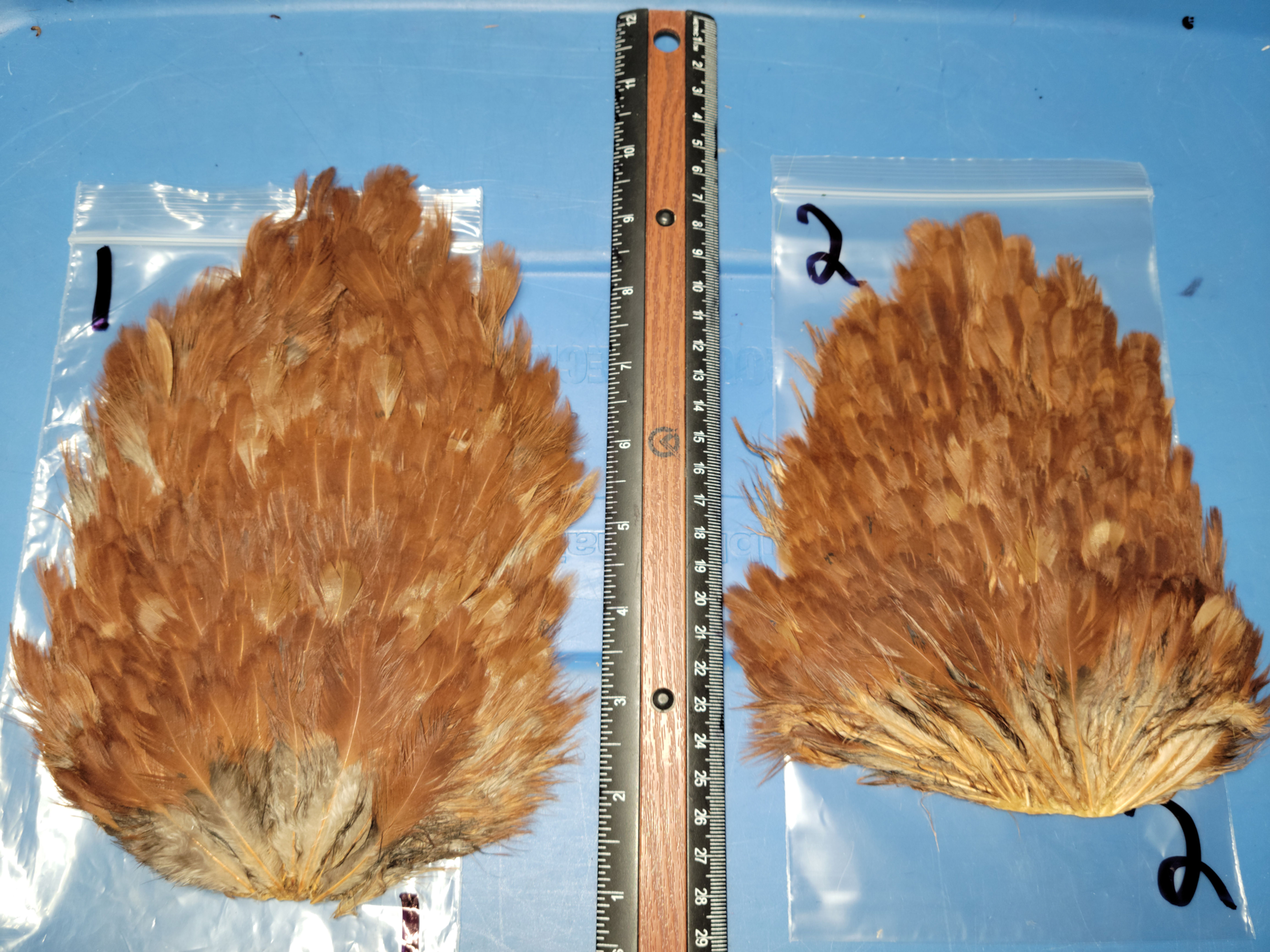 Selles de Poule Naturel Variant Marron Foncé  1-12