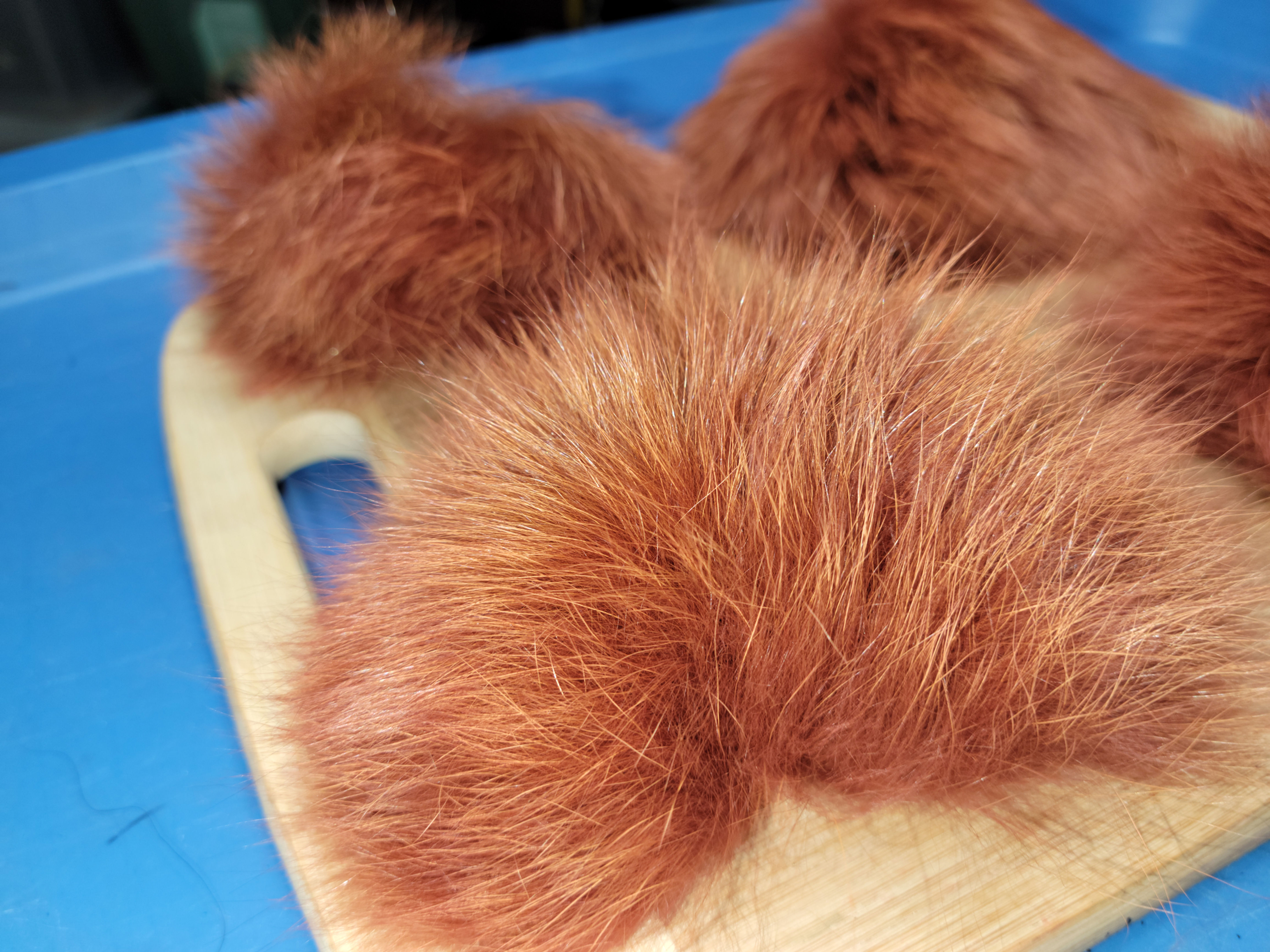 Renard Polar Beige  Fox  AAA Teint Fiery Brown