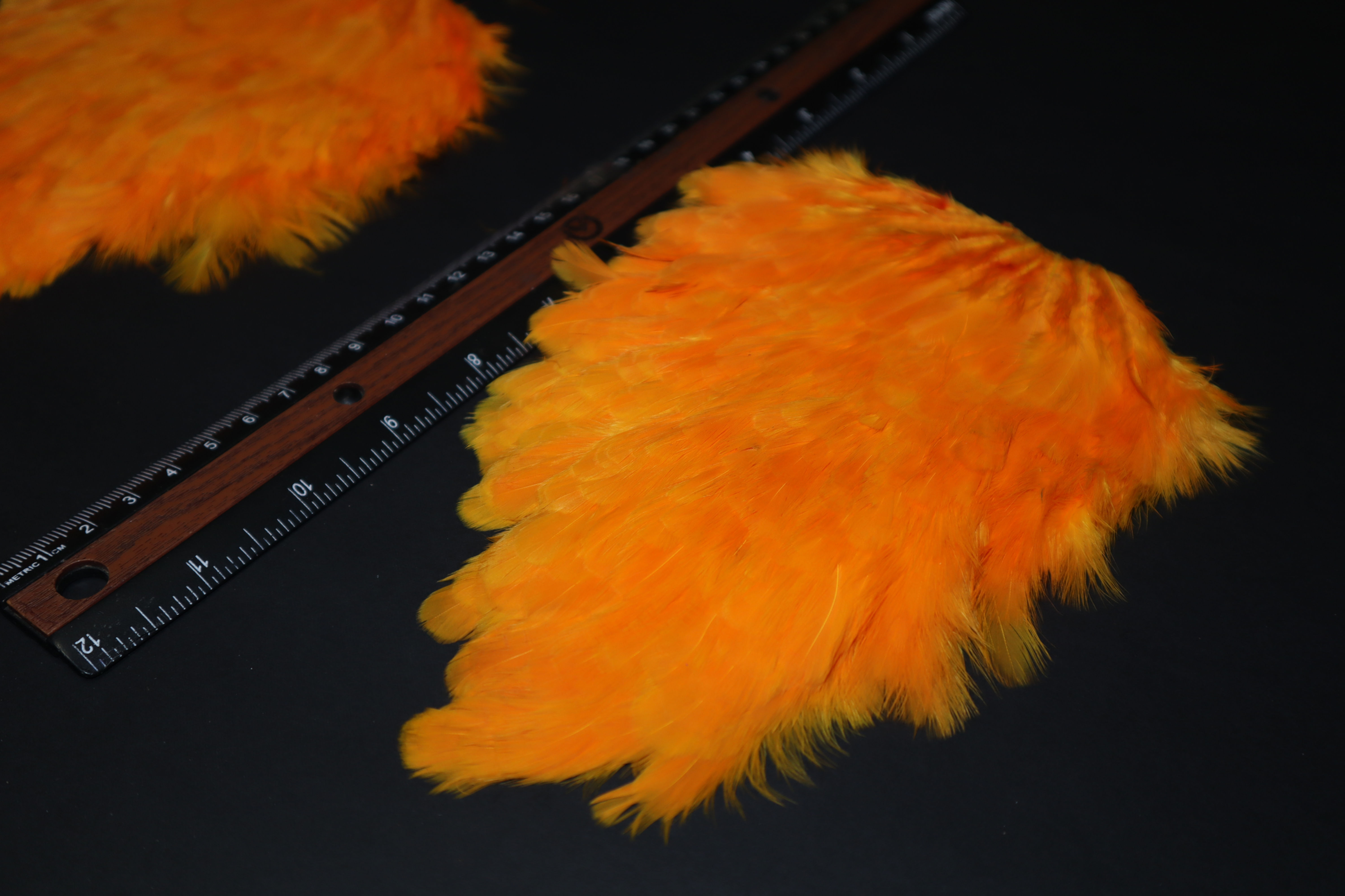 Our Orange Hen Saddles