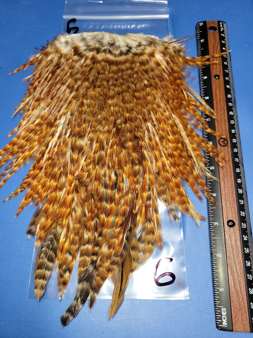 Miniature : Nos Selles de Coq Super Select AAA Red Grizzly Variant 1-13