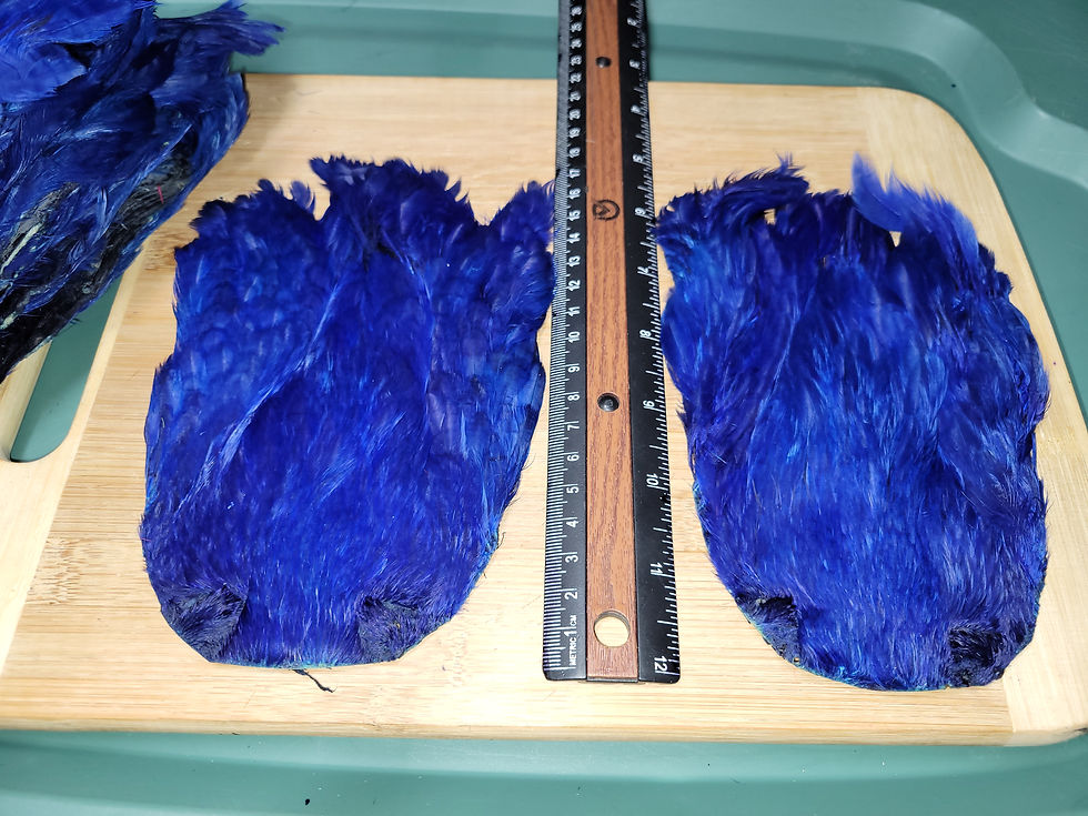 Miniature : Nos Cous de Poules de Teints Bleu Royal