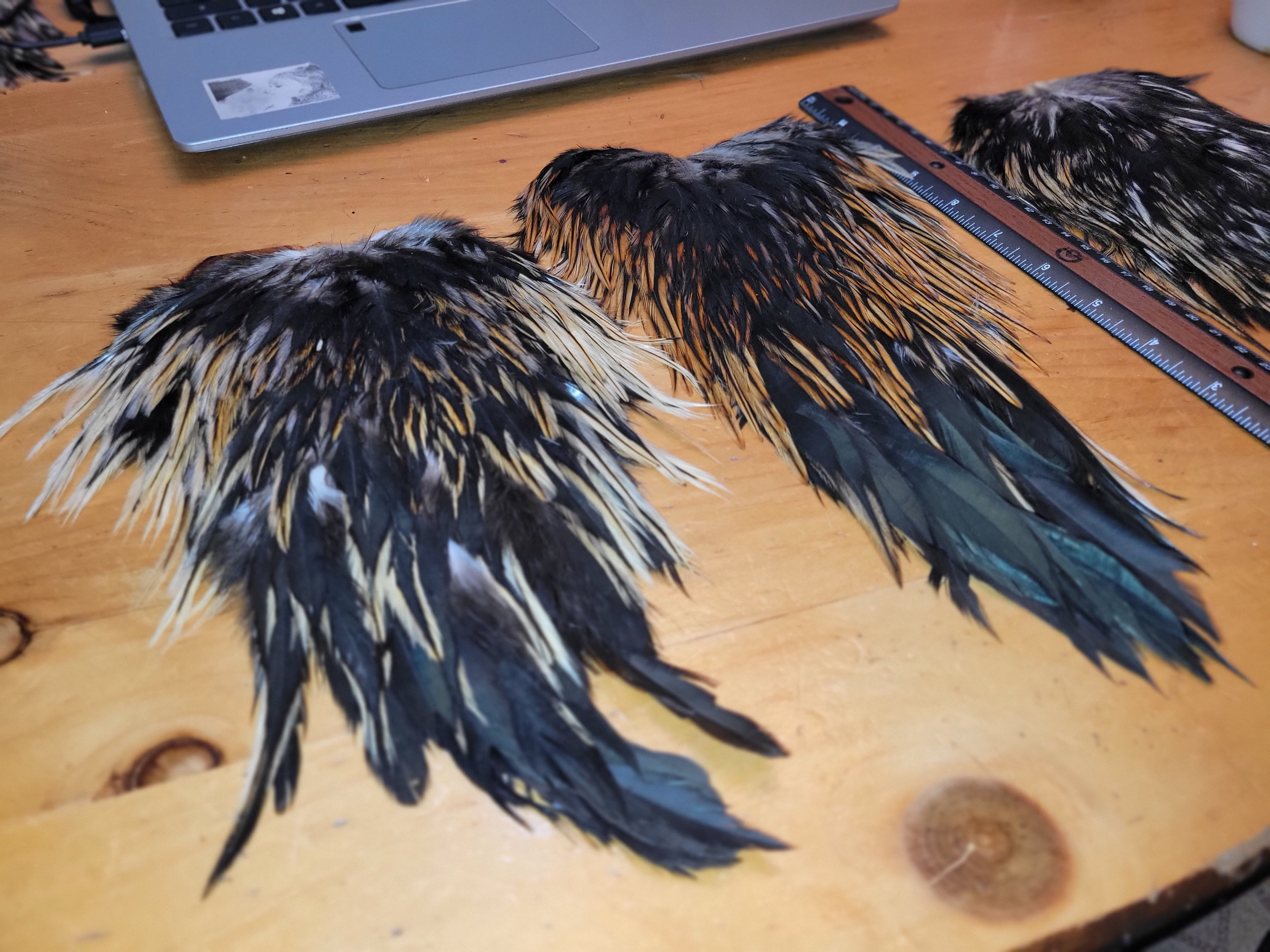 Medium Dark Badger Rooster Saddles