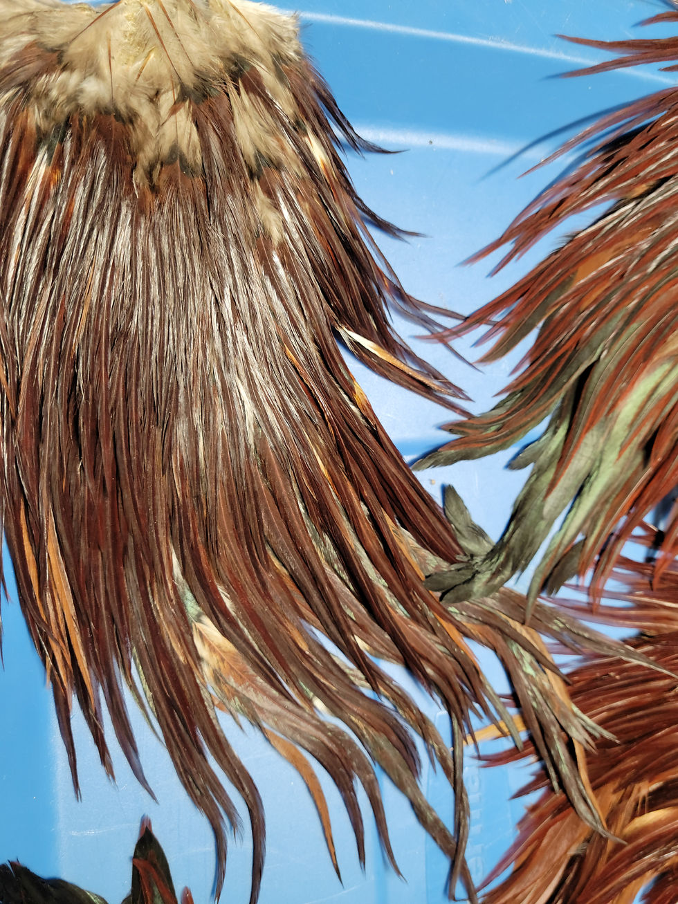 Our Large Rooster Saddles Super Select AAA Dark Furnace Brown