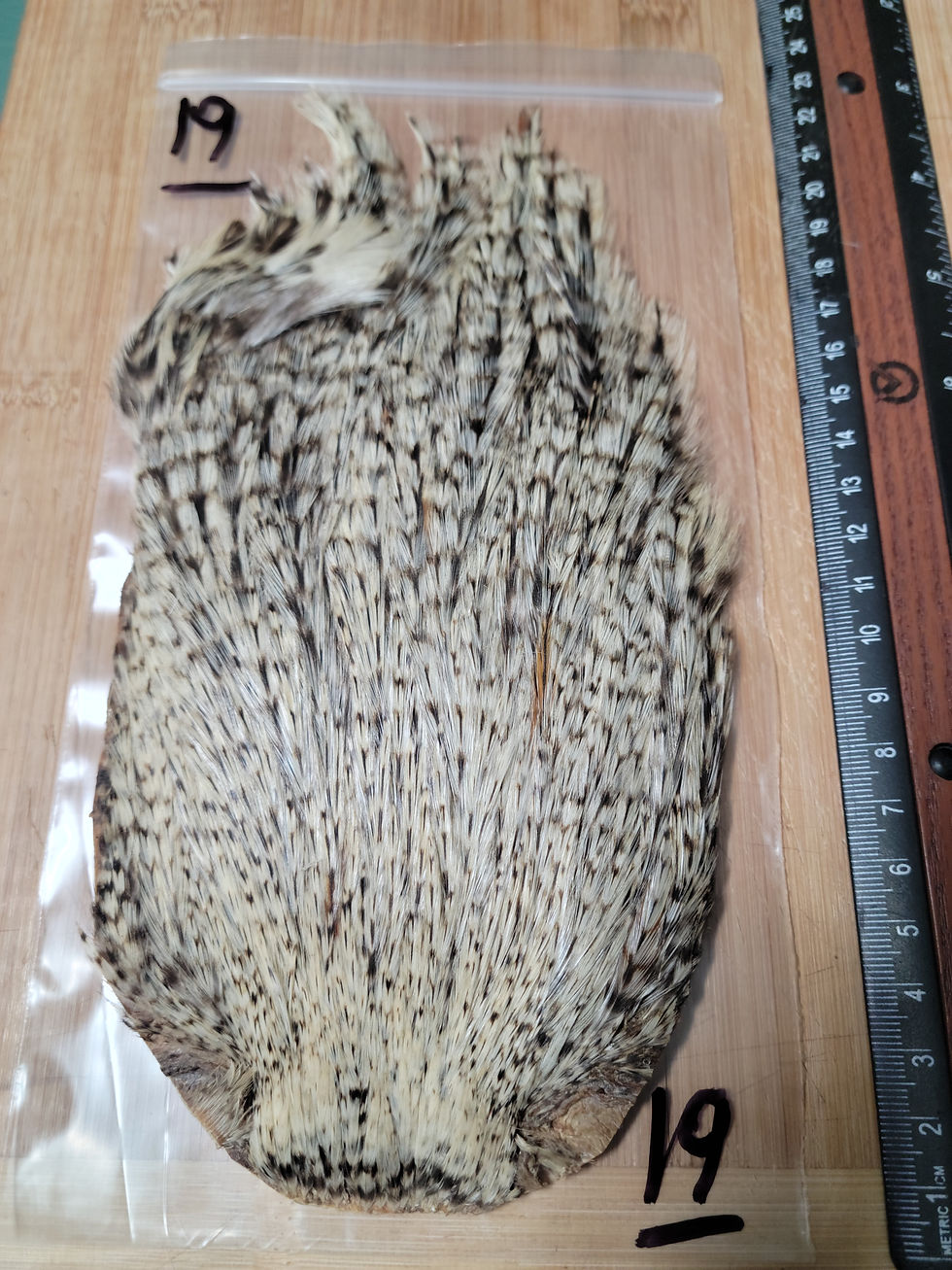 Thumbnail: Neck - Rooster Cape Super Select A - AAA Natural Speckled Badger Variant