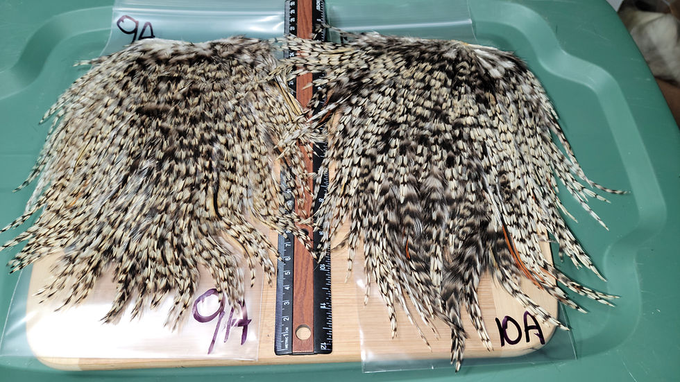 Miniature : Nos Grandes Selles de Coq Super Select A - AAA Grizzly 1A-26A