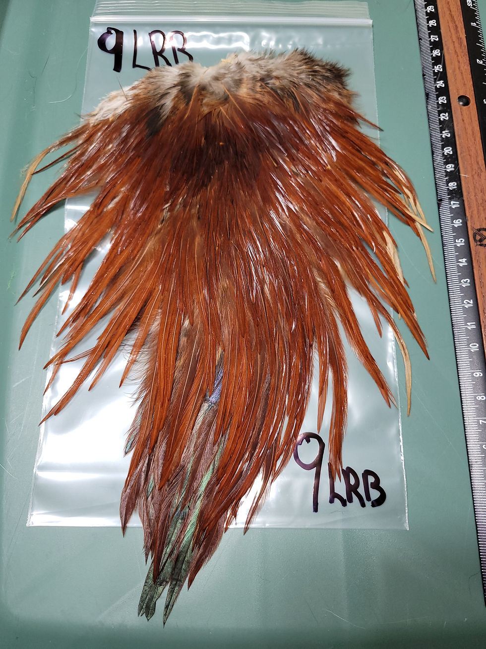 Miniature : Nos Selles Medium de Coq Super Select AAA Brun Roux Pâle