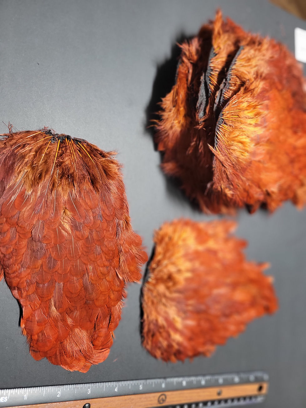 Thumbnail: Our Phatagorva Dyed Hen Saddles