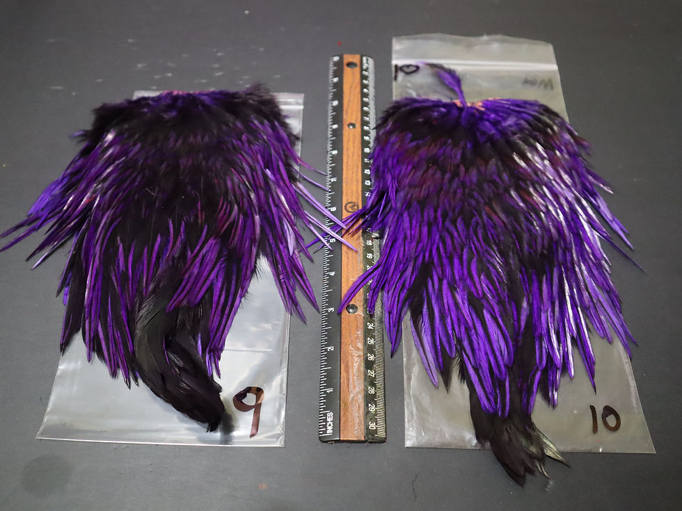 Miniature : Nos Selles de Coq Badger Super Select AAA Teint Mauve