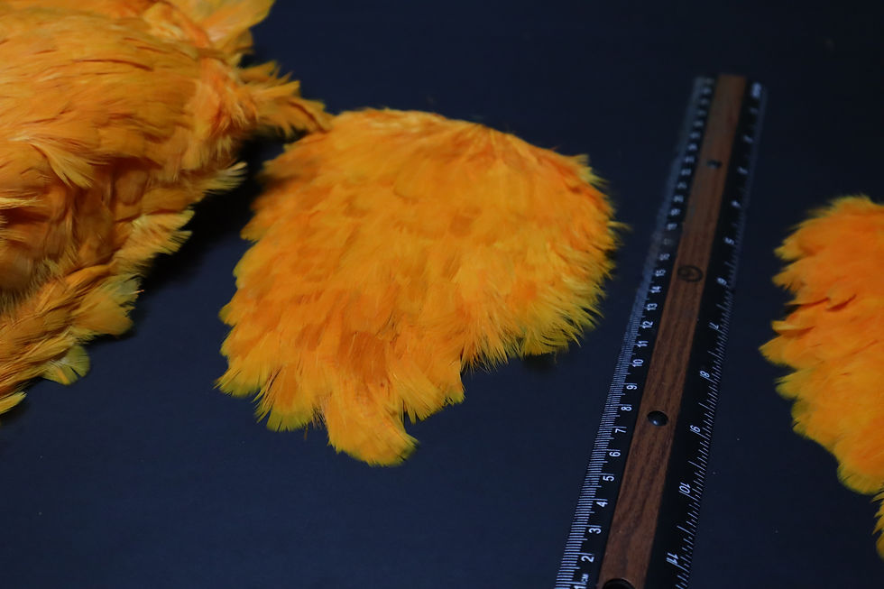 Thumbnail: Our Orange Hen Saddles