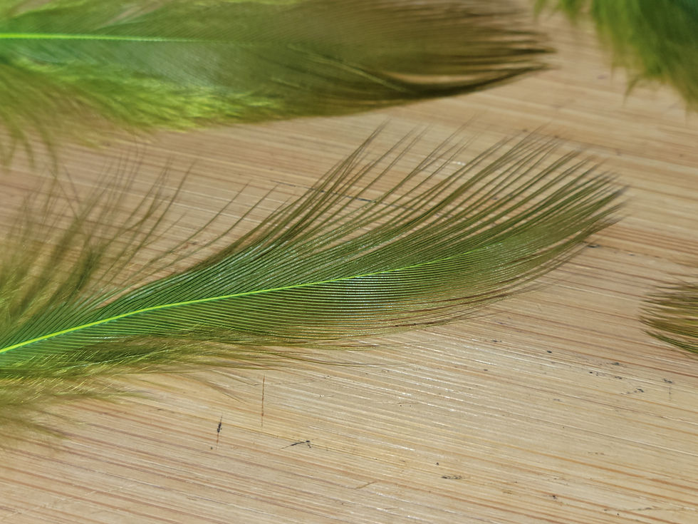 Miniature : Plumes AAA de Héron Teint Bronze Olive