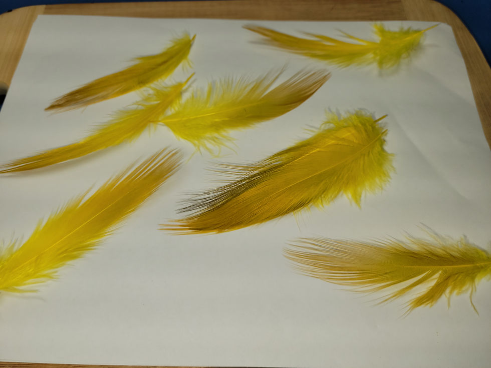 Miniature : Plumes AAA de Héron Brun Naturel Teint Jaune Dirty Yellow