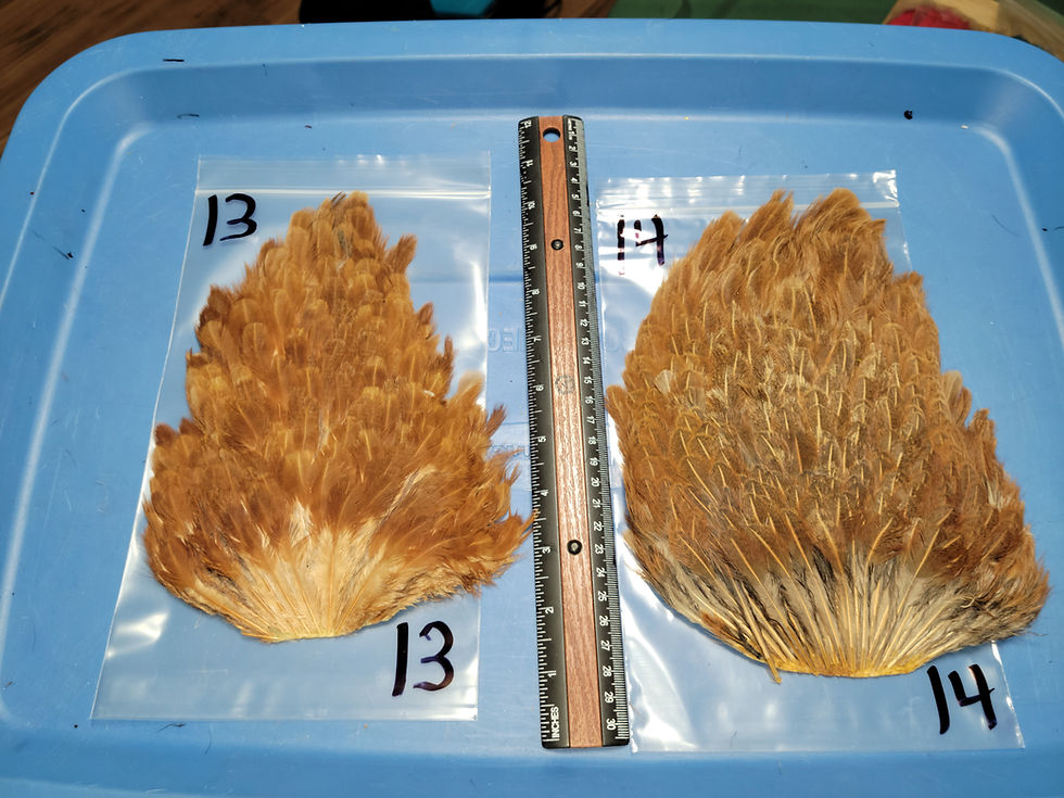 Thumbnail: Natural Hen Saddles Pale Brown Variant 1-19