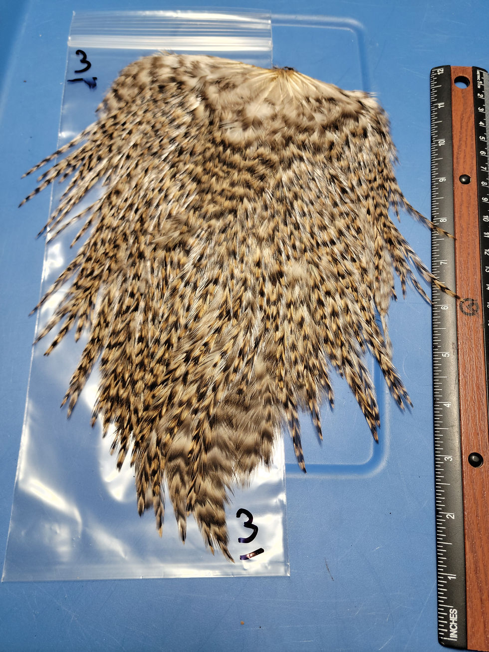 Miniature : Nos Grandes Selles de Coq Super Select AAA Grizzly 1-7