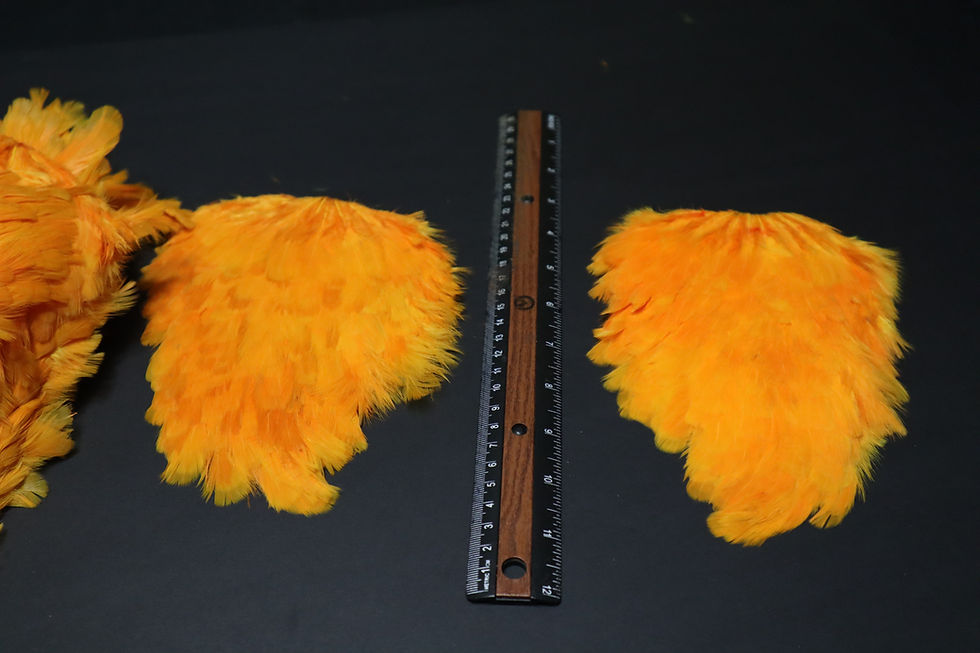 Thumbnail: Our Orange Hen Saddles