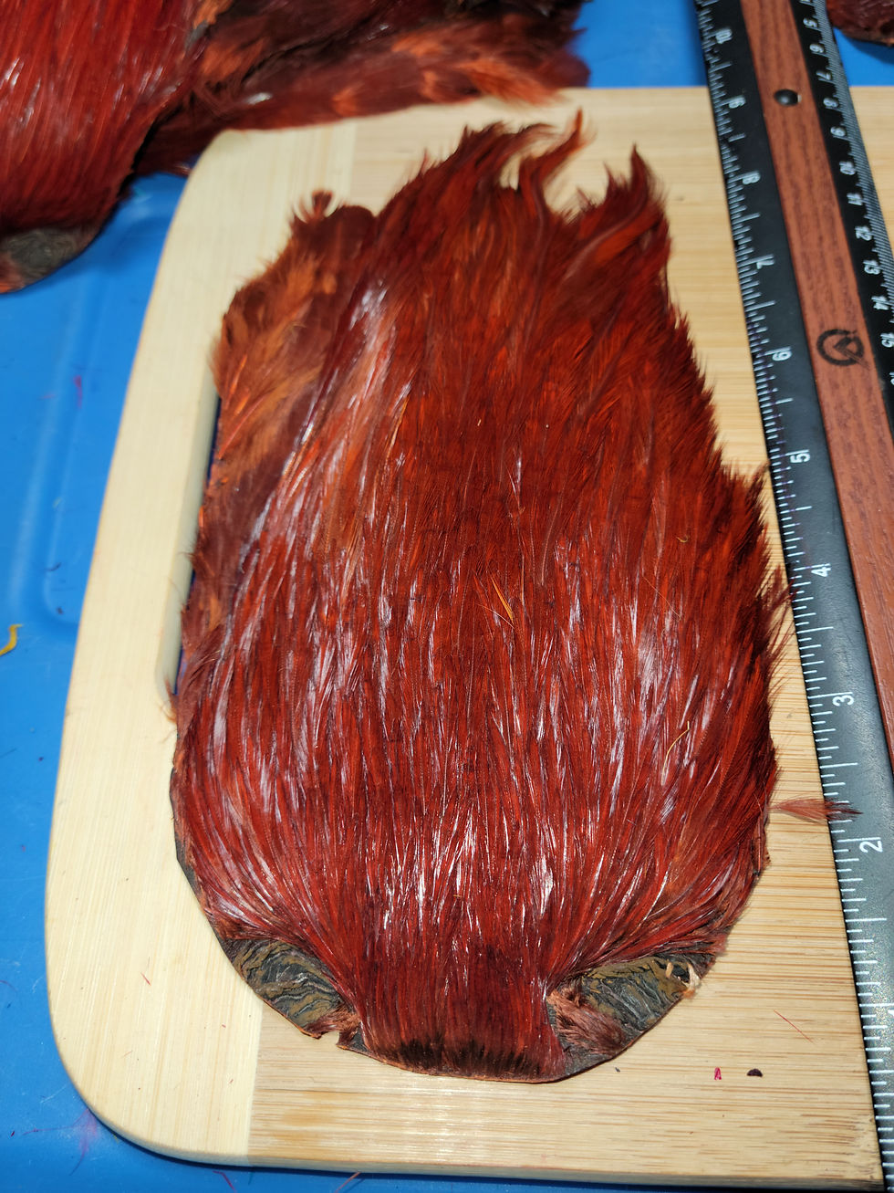Miniature : Cou - Cape de Coq Teint Brun Rouille