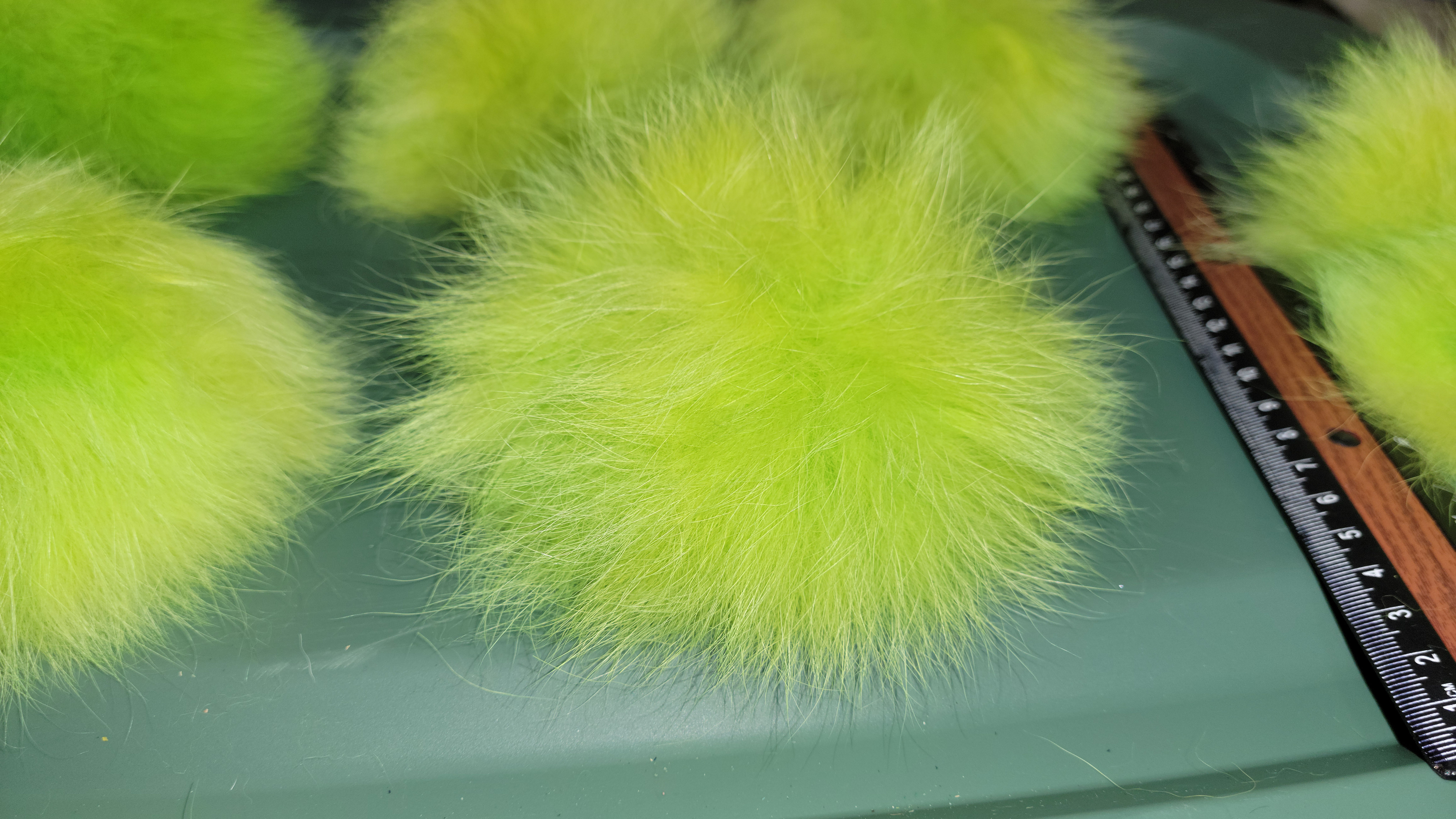 Renard Polar Beige  Fox  AAA Teint Jaune Chartreuse