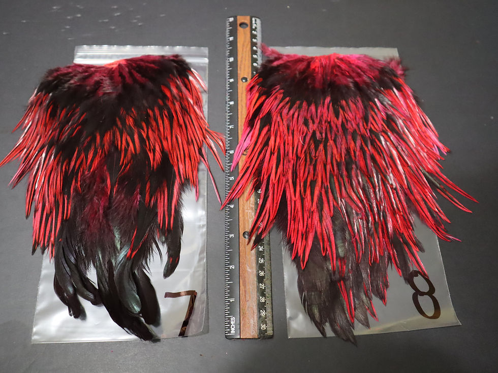 Miniature : Nos Selles de Coq Badger Super Select AAA Teint Hot Pink - Dark Hot Pink