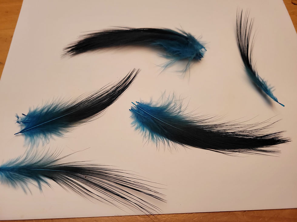 Miniature : Plumes AAA de Héron Brun Naturel Teint Blue Royal