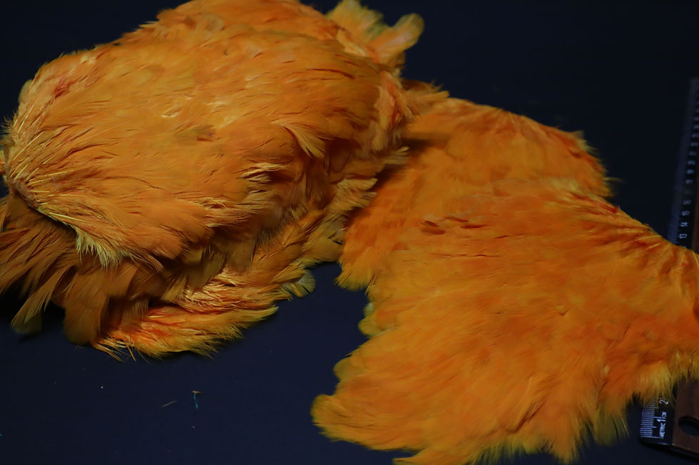 Thumbnail: Our Orange Hen Saddles