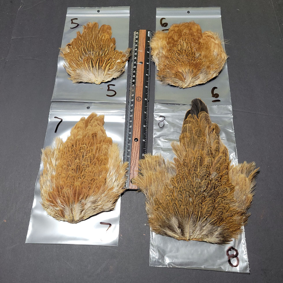 Thumbnail: Our Natural Hen Saddles (Soft Hackle) Light Brown to Dark Brown