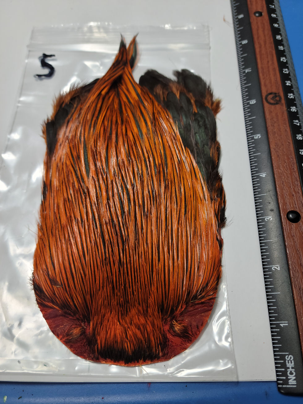 Miniature : Cou de Coq Super Select AAA Naturel Badger Teint Hot Orange