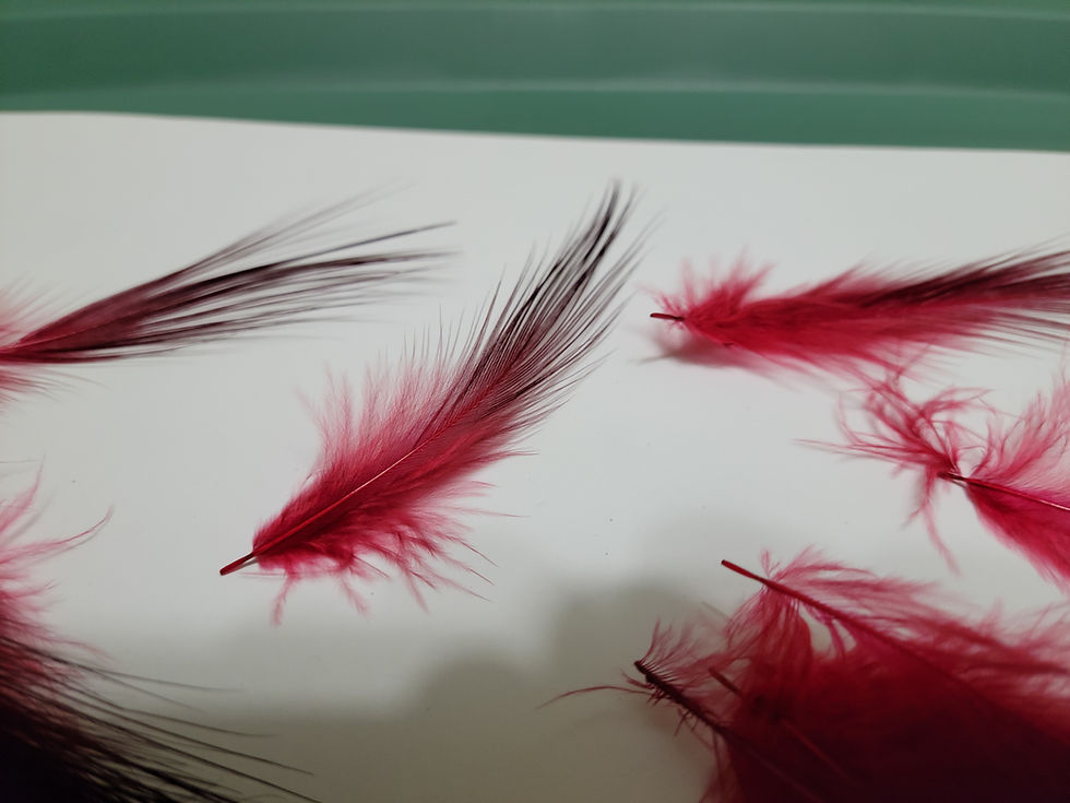 Miniature : Plumes AAA de Héron Teint Rouge Sang