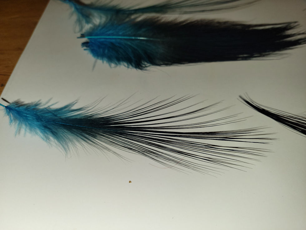 Miniature : Plumes AAA de Héron Brun Naturel Teint Blue Royal