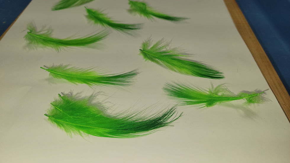 Miniature : Nos Plumes AAA de Héron Teint Vert Lime Green