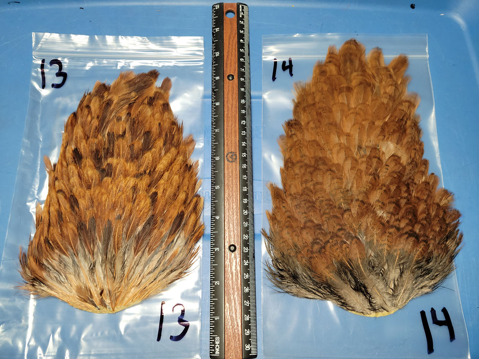 Thumbnail: Natural Hen Saddles Brown Variant 1-20